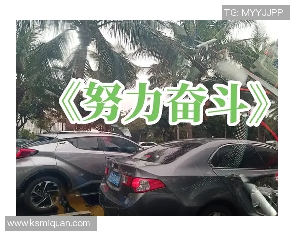 程帅澎：从平凡到卓越的奋斗之路与人生启示