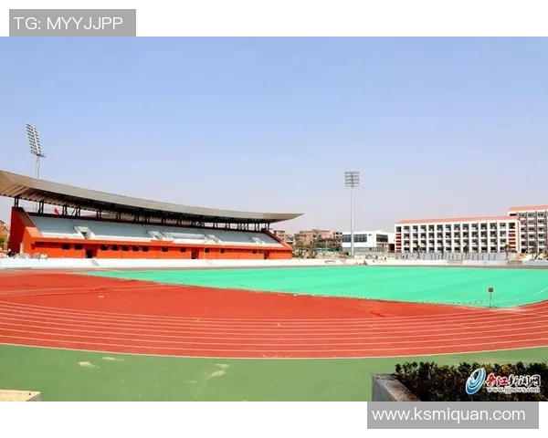 全球体育项目种类繁多究竟有多少种类值得我们深入探讨与了解